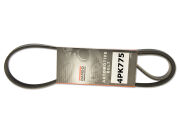 Pasek Wielorowkowy 4PK775