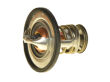 Termostat 76.5°C - 5