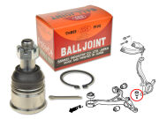 Ball Joint Front Lower Arm