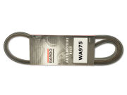 Pasek Klinowy WA975